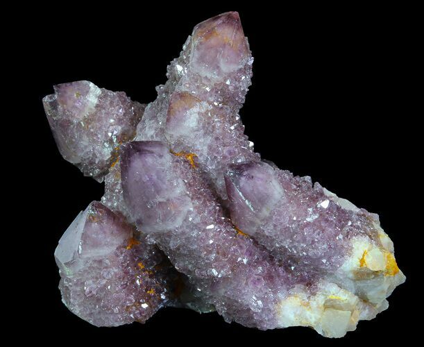 Cactus Quartz (Amethyst) Crystal Cluster - South Africa #64240
